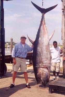 gigantic tuna next to man