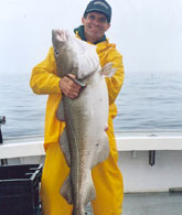 New England Cod Fishing