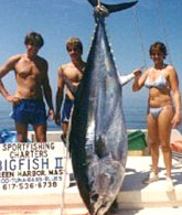 Fishing for Huge Tuna