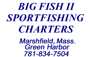 Cape Cod fishing charter contact info