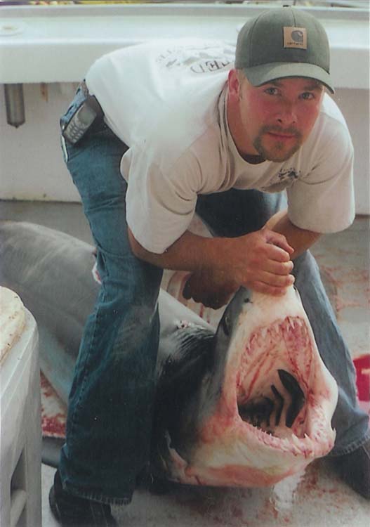 Mako Sharks Pictures