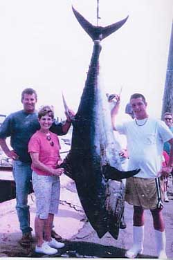huge tuna