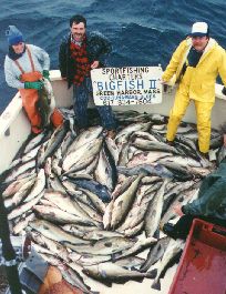 cod fishing cast