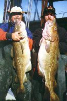 Cod Fishing Charters from Big Fish II