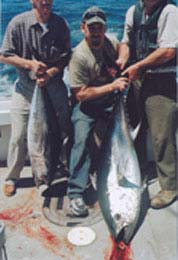 3 fishermen and tuna catch