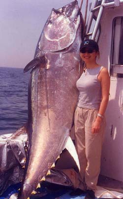 giant tuna caught
