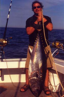 more tuna