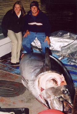 night photo of giant tuna