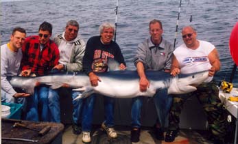 Blue shark fishing