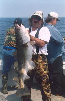 catch from Big Fish Charters