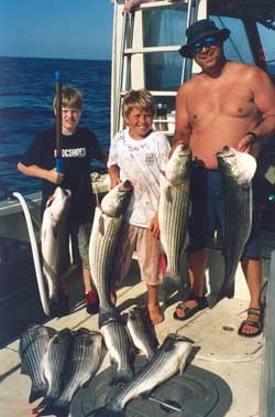 bunch of striped bass