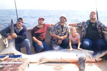 shark caught by group