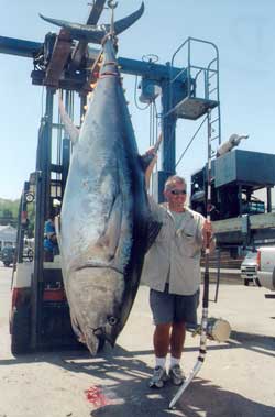 giant tuna fishing