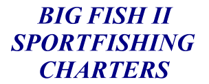 Big Fish Charters Logo