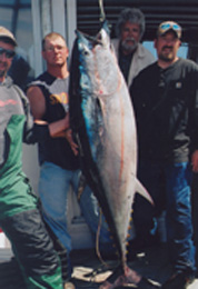 tuna fishing haul