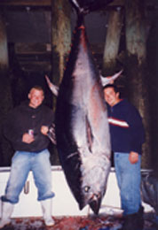 tuna fish hanging on dock