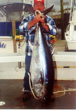giant tuna and man