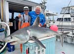 Youngster's shark fishing catch