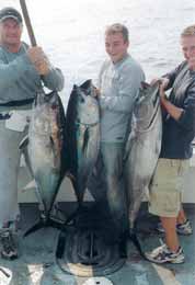 tuna fish haul