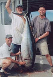 picture of tuna fish