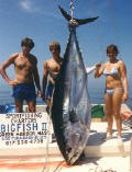 6 ft+ tuna fish catch from off the Cape
