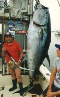 tuna fish and fisherman