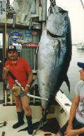 Tuna fishing charters
