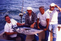 Tuna fish day trip